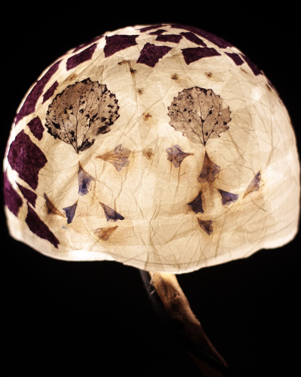 Pantalla de lámpara artesanal con incrustaciones de flores secas y fondo oscuro.